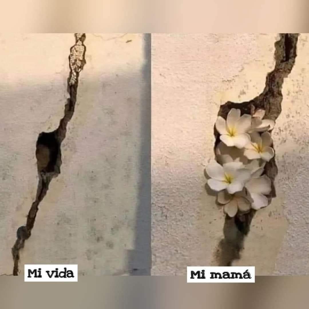 Confirmo 🥹🥹🥹