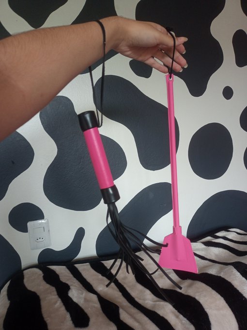 Should I make a video using one of these today? 🤭 https://t.co/Y3mykycabA<a href="/tag/mvsales"class="tags"><span>#mvsales</span></a>