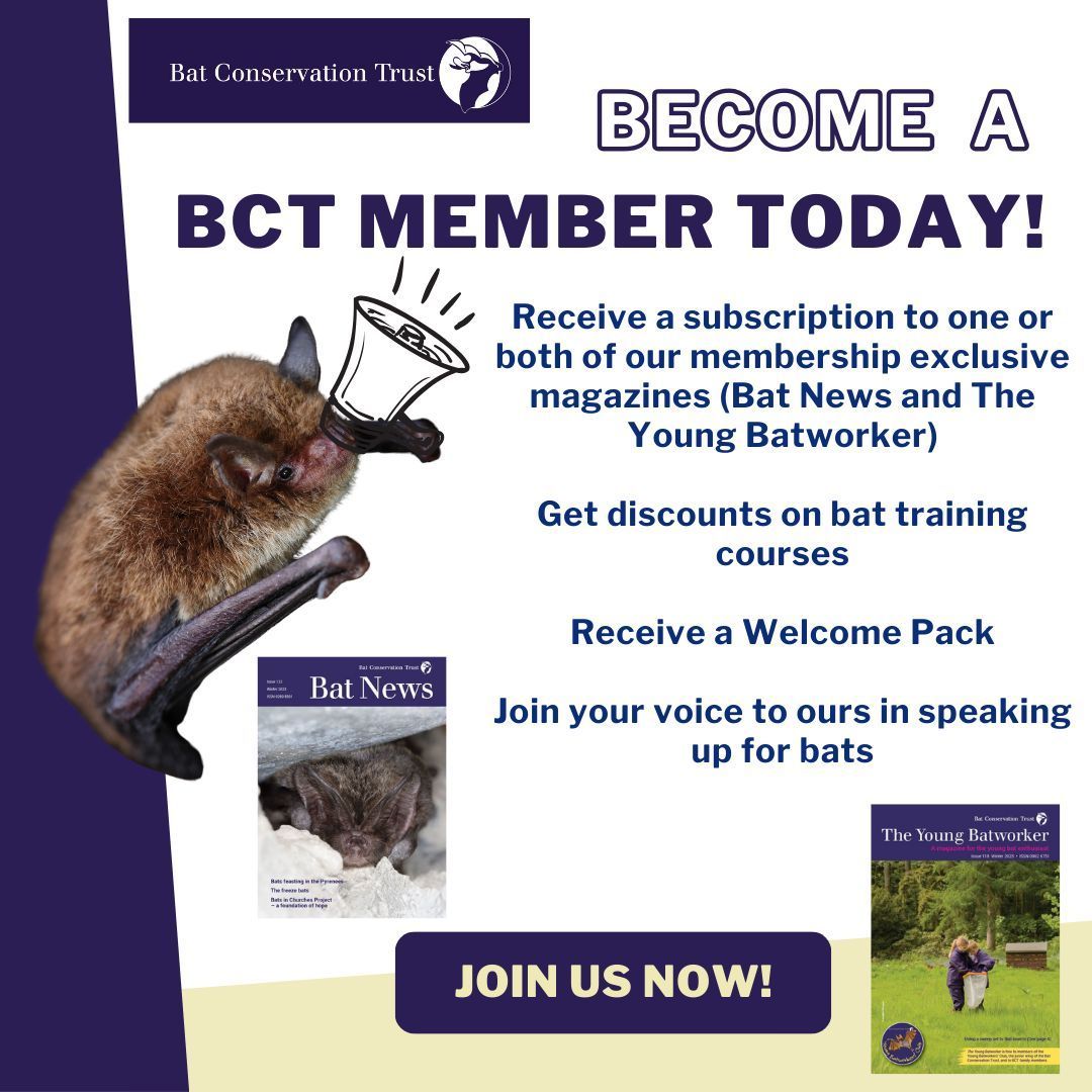 Joining the Bat Conservation Trust is the ideal way to show your support for bats. By becoming a member, you will be directly helping to protect bats and their habitats for future generations to enjoy. Explore our range of memberships here: buff.ly/3g5seGT