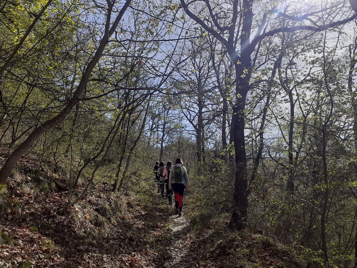 xarxadeparcs's tweet photo. 🥾Aquest diumenge comencen les #Passejadesguiades al Parc del #CastellMontesquiu, amb prop de quaranta activitats per conèixer millor el territori del parc i l'entorn proper ⛰️
ℹ️ https://t.co/TBzQ8AxnAM https://t.co/j4SPyMQQyZ