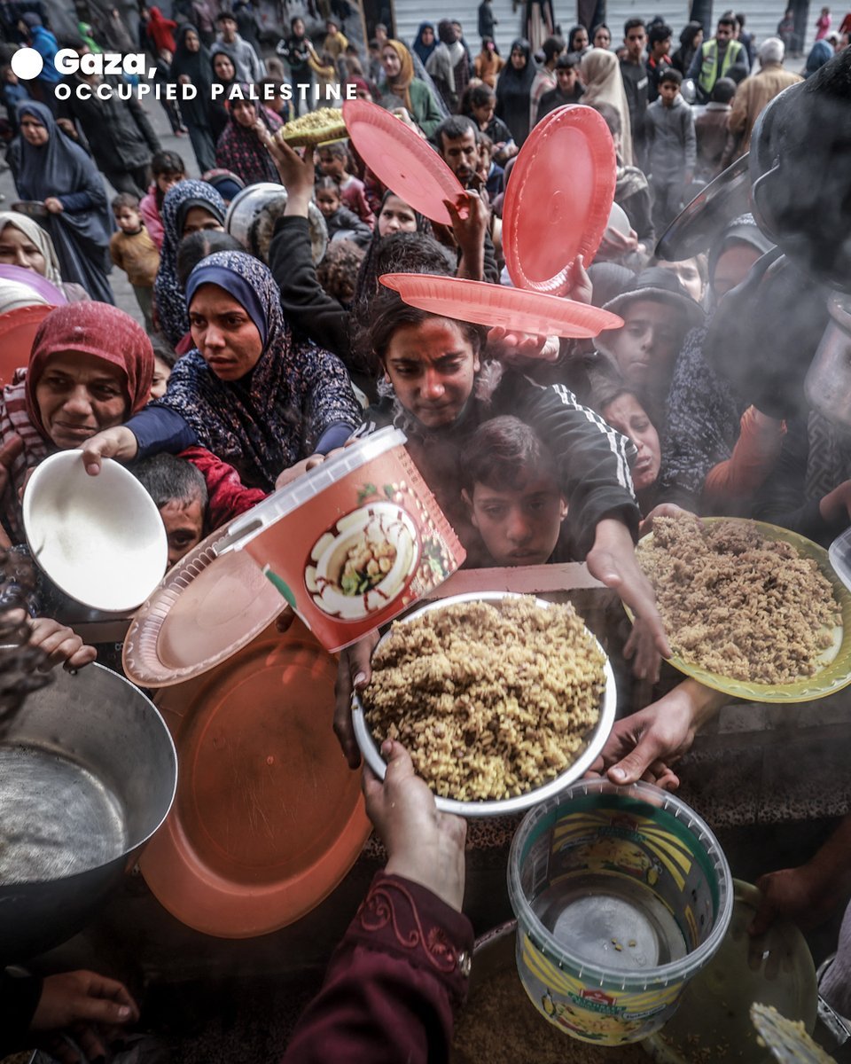 ainyuyu3's tweet image. CEASEFIRE NOW! STOP THE GENOCIDE! PALESTINIAN PEOPLE ARE HUMAN TOO 

#StopFamine #BoikotIsrael #TheyAreHumanToo #RamadanGiftforGaza