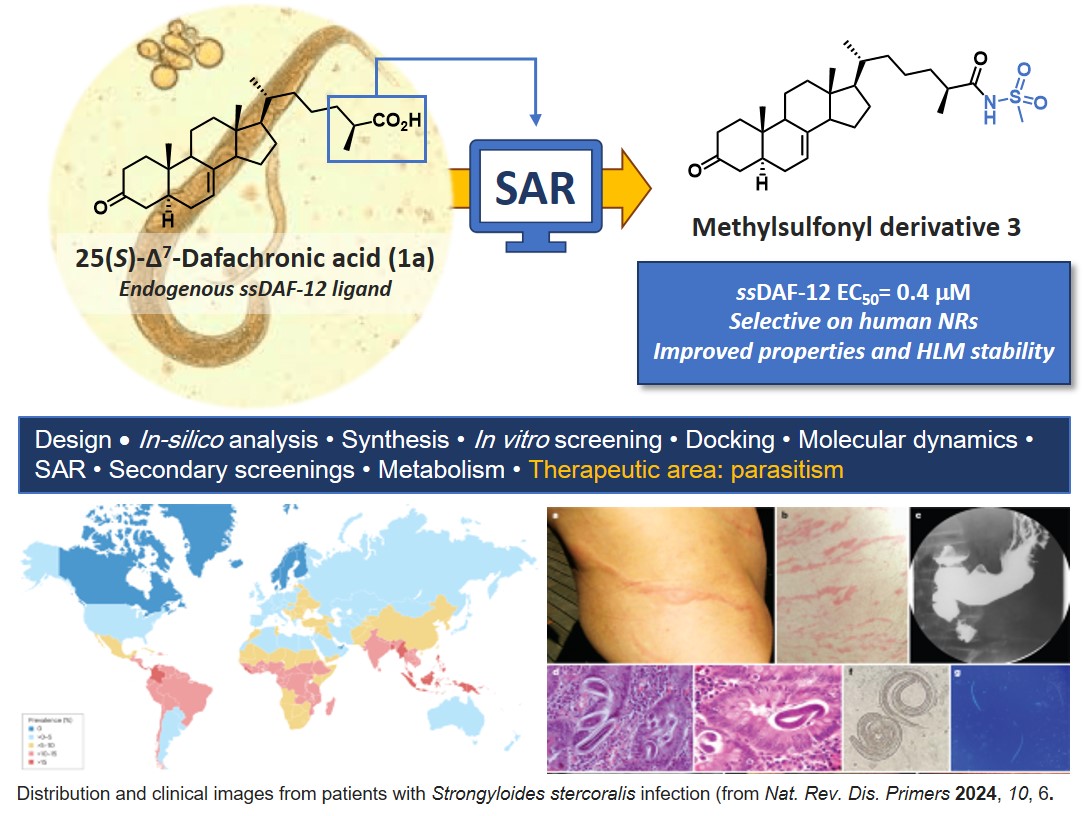 🤩Absolutely thrilled to present our paper accepted for publication in @ACSBioMed on the discovery of unprecendented ssDAF-12 modulators to treat #strongyloidiasis. A long journey and a great collaborative effort with @CrucianiLab & Tes Pharma: pubs.acs.org/doi/full/10.10… #Medchem