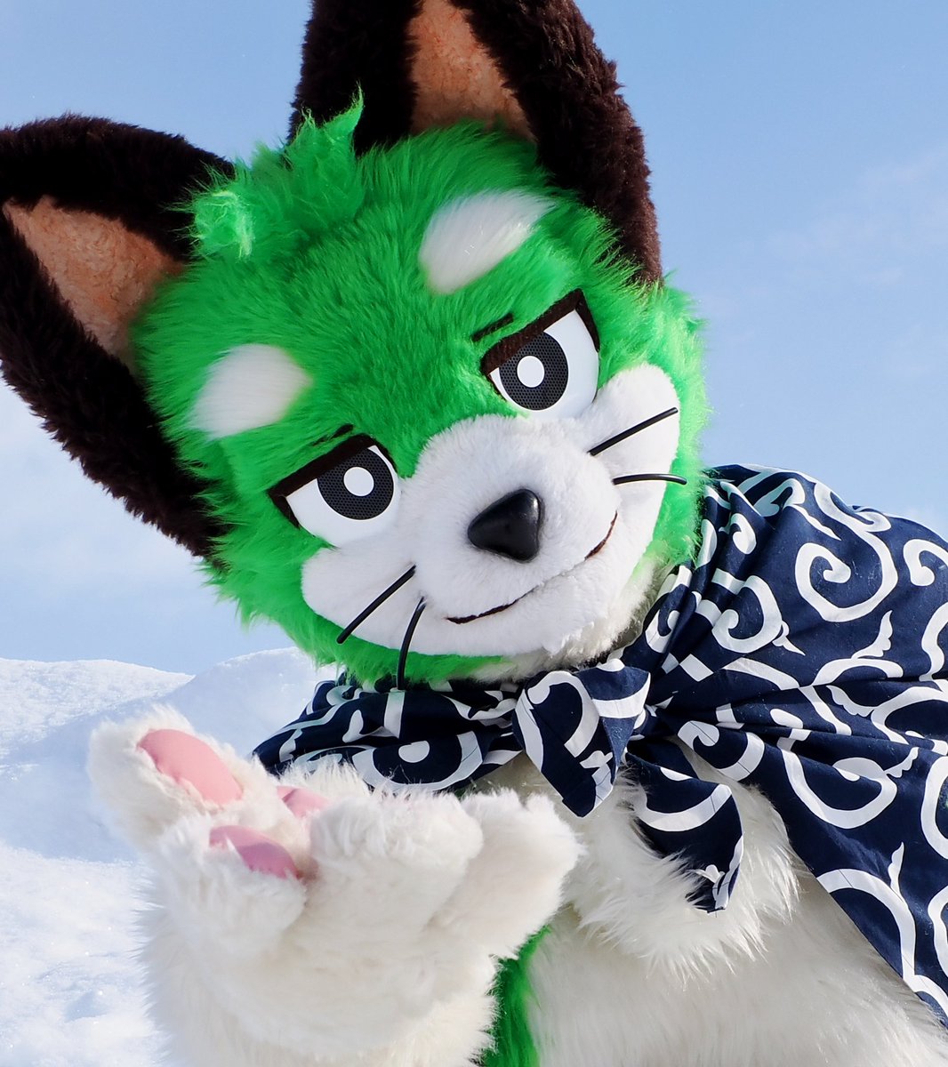 りきゅーた🍵🐾 (@riqta_ogra) / Posts / X