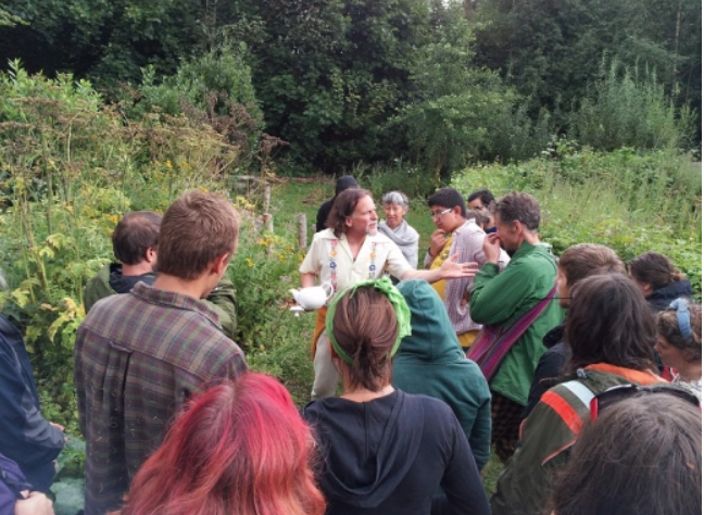 DarkMountainProject tweet media