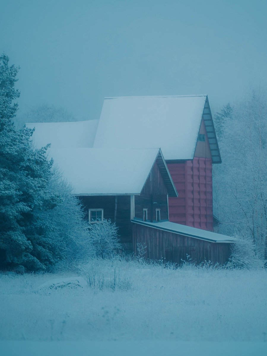 AlexanderPopkov's tweet photo. Winter in #Finland
#Finlandwinter #naturephotography https://t.co/xd8qPfiEal