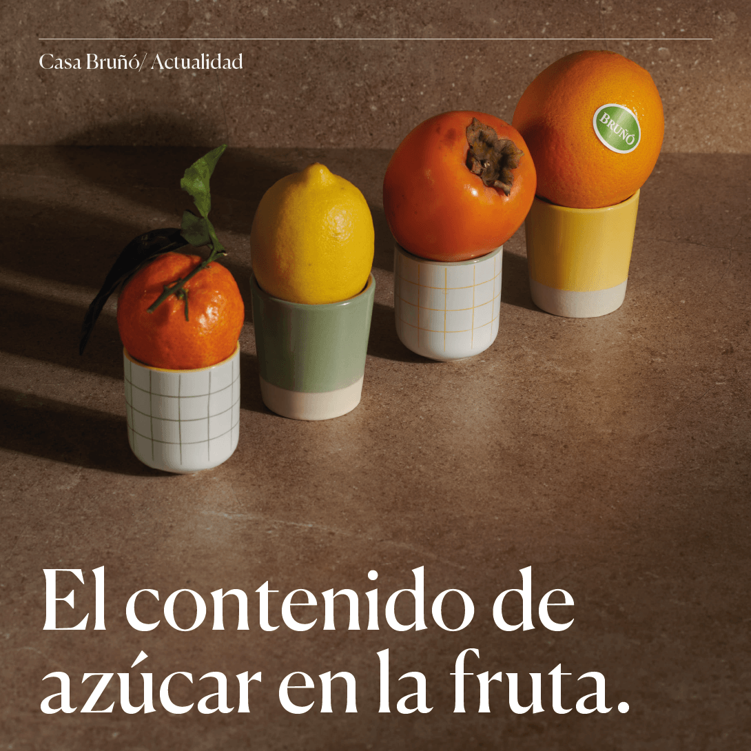 ¿El azúcar en la fruta es perjudicial? Te contamos todo lo que necesitas saber sobre este mito en nuestro último artículo de #CasaBruño.

frutasbruno.com/el-contenido-d…