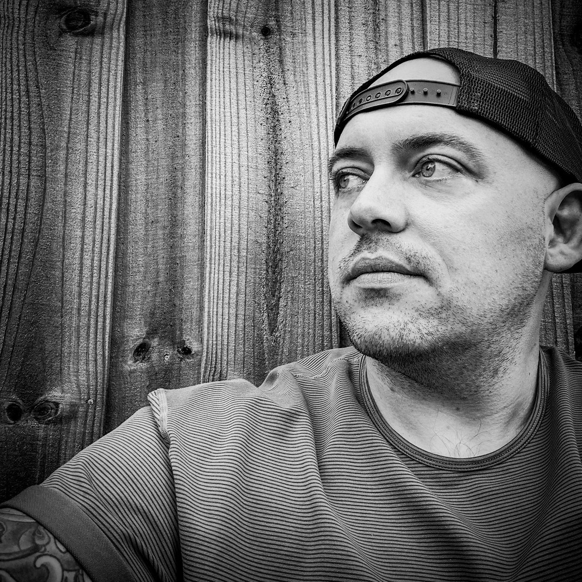 No court today. 

What to do without the dulcet tones of Hough, Gunning, Orr and Grabiner?