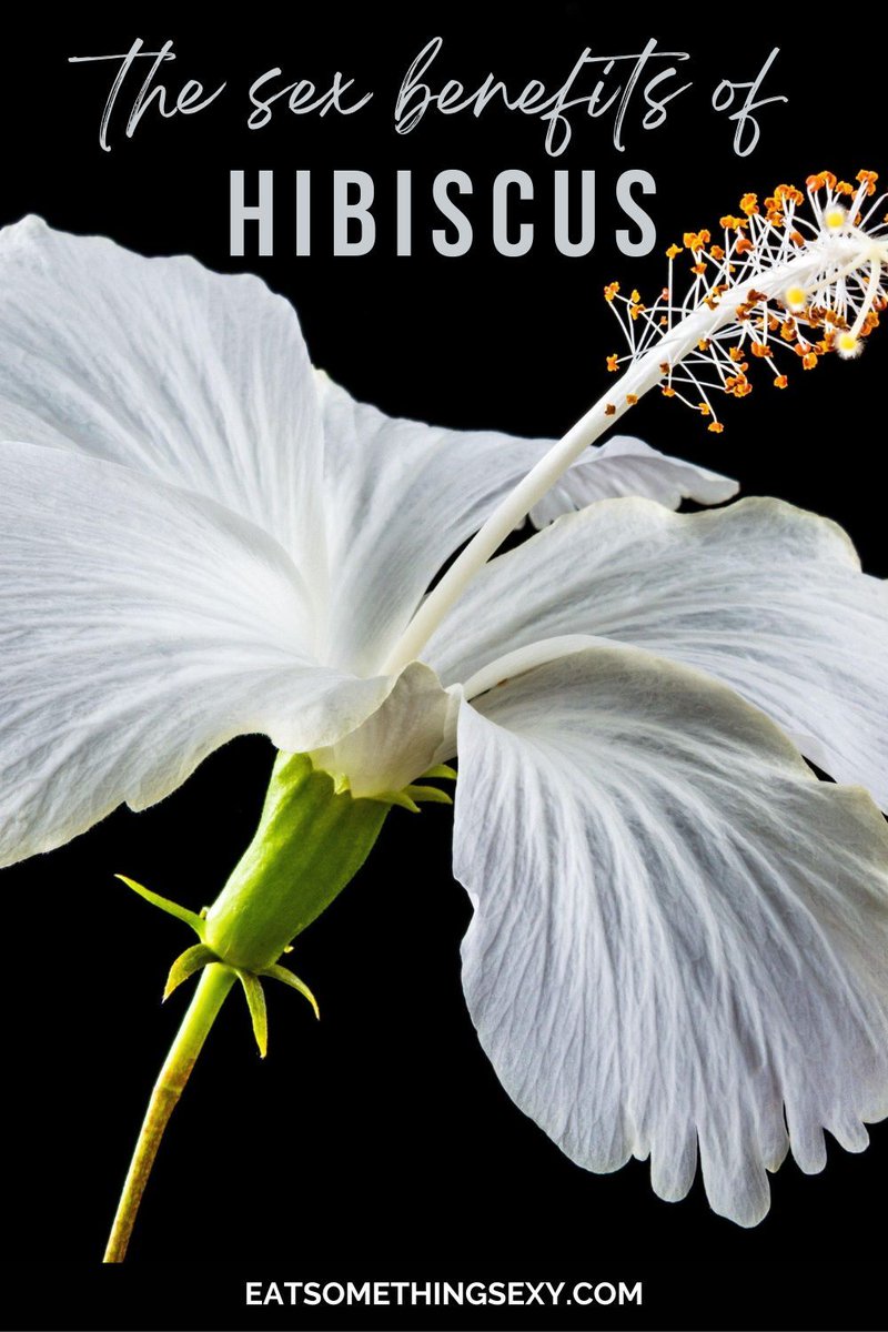 Eat Something Sexy (@eatsomethngsexy) on Twitter photo What do flowers have to do with sex? Here are some facts on hibiscus that will probably surprise you! bit.ly/42XrwmU @phillyfillylive <a href="/kitchensprout/">Kimberly Toureiro</a> <a href="/unpodiblu/">Eat.. Drink.. Wine..</a> <a href="/liveamemory/">Live a Memory</a> <a href="/forkmespoonme/">Amy Reiley</a> @brendagott <a href="/eatlivestay/">eatlivestay</a> <a href="/travelfoodiestv/">Lori โฅ Influencer Brand Creator</a> <a href="/suziday123/">Suzi Day</a> <a href="/livingitupct/">Nadine - Living It Up CT</a> <a href="/talesofthecork/">TalesoftheCork</a> What do flowers have to do with sex? Here are some facts on hibiscus that will probably surprise you! bit.ly/42XrwmU @phillyfillylive <a href="/kitchensprout/">Kimberly Toureiro</a> <a href="/unpodiblu/">Eat.. Drink.. Wine..</a> <a href="/liveamemory/">Live a Memory</a> <a href="/forkmespoonme/">Amy Reiley</a> @brendagott <a href="/eatlivestay/">eatlivestay</a> <a href="/travelfoodiestv/">Lori โฅ Influencer Brand Creator</a> <a href="/suziday123/">Suzi Day</a> <a href="/livingitupct/">Nadine - Living It Up CT</a> <a href="/talesofthecork/">TalesoftheCork</a>