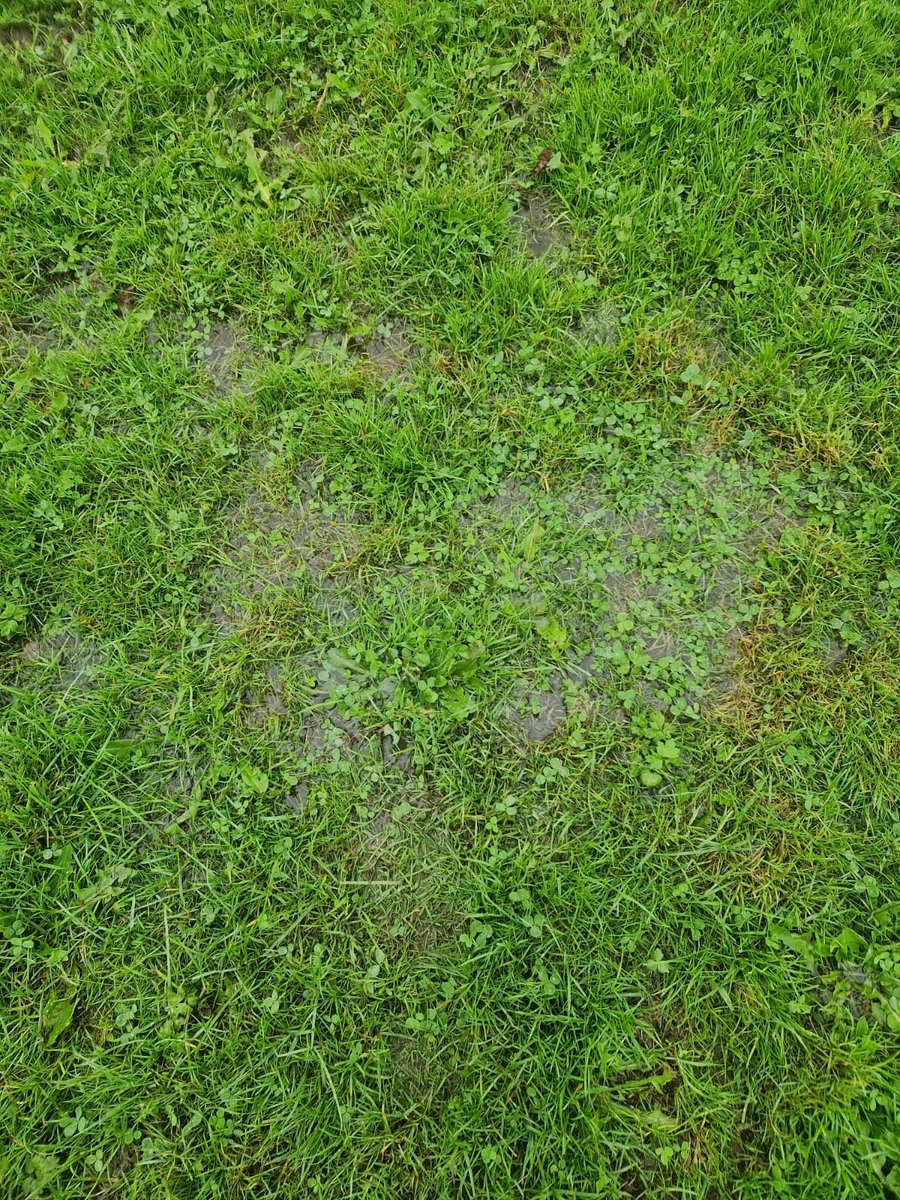 Kevperry4's tweet photo. @NoelMooney13 how many more games need to be called off before we can get some help @FlintshireCC @FlintshireJnrFL @GaThomas101 @AnthonyFodenBSS https://t.co/zXw2Bu7CCH