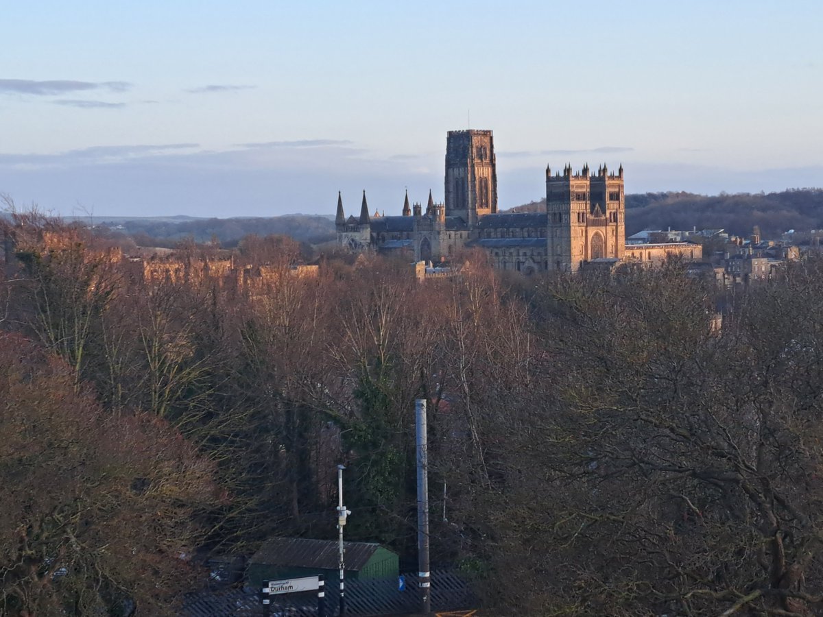 Prof. Susan Deacy tweet media