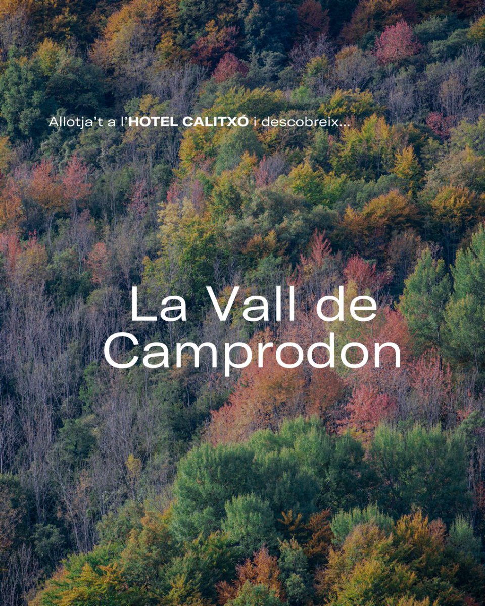 GransHotelsCat's tweet photo. Avui et recomanem una escapada a la Vall de #Camprodon 🍃⛰️. Allotja't a l'#hotelCalitxó i visita els racons més emblemàtics de la zona. https://t.co/wLAxWj7VDf https://t.co/UXpjD53nCh