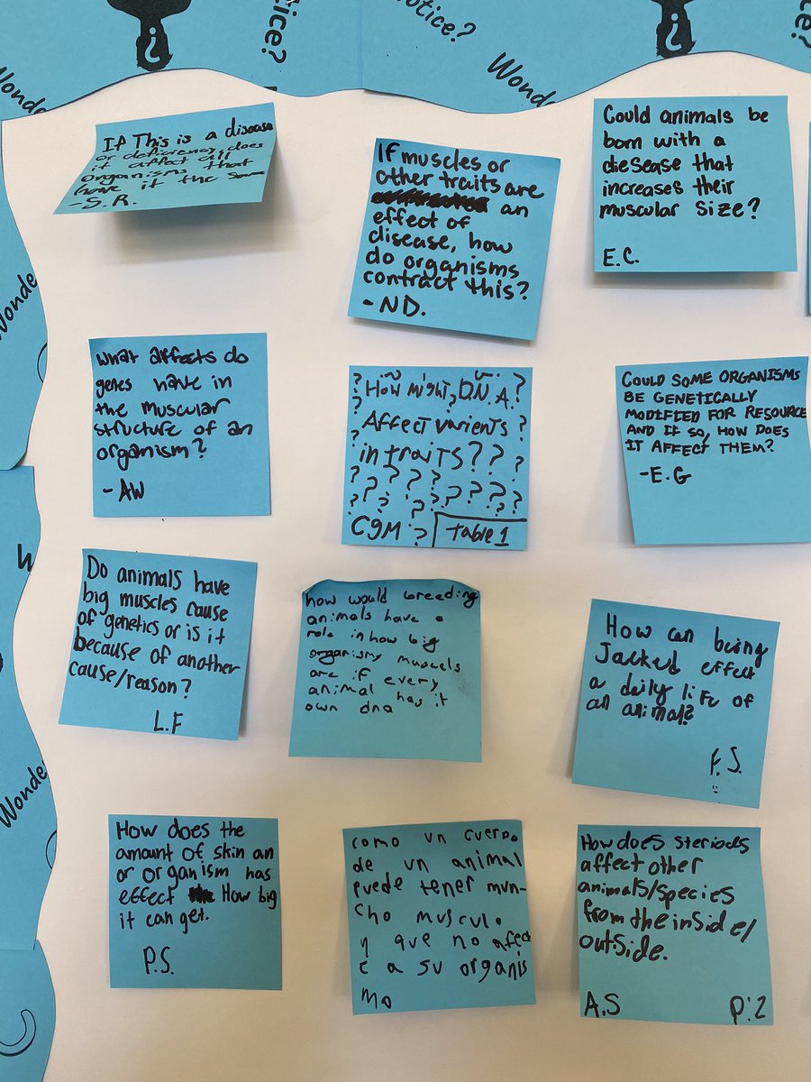 My Goal: Get Ss to ask better ❓.  

A mini-lesson over an animated slide shows the progression of this task. 

Zoom-in &amp; read❓7th created as part of the launch to <a href="/OpenSciEd/">OpenSciEd</a>’s 8.5 Genetics Unit. 

💙💚🧡