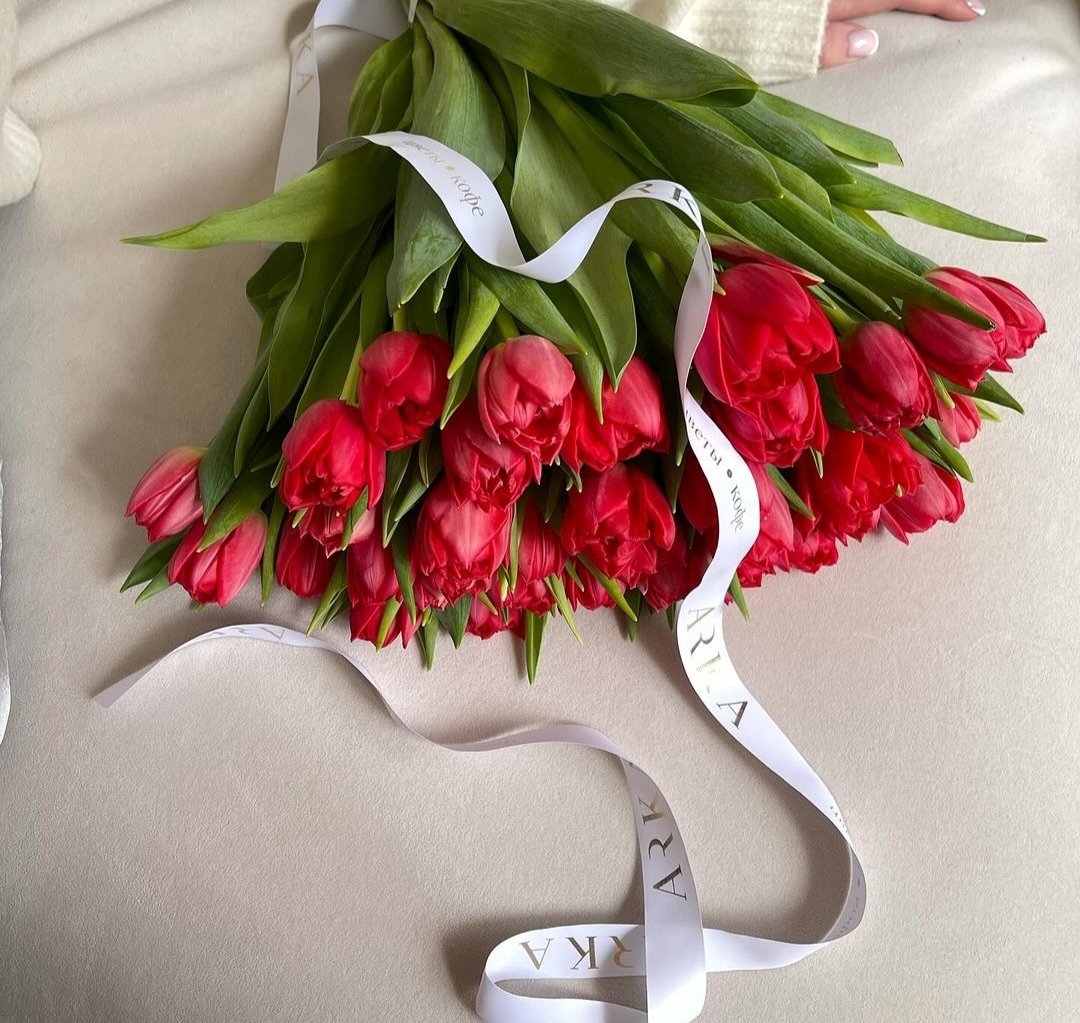 lamajjii's tweet photo. @i90OY مساء الأناقة https://t.co/HJARof1cjX