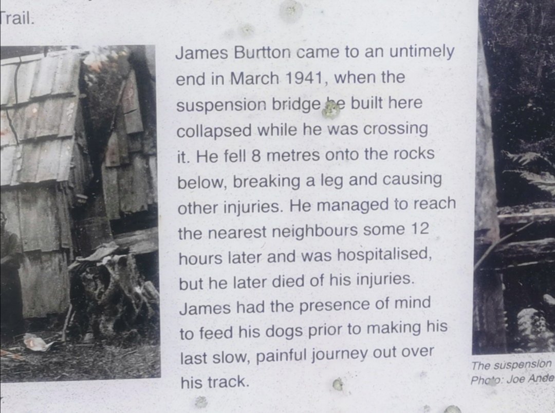 Nekrobastard's tweet image. #NewZealand
#teararoa