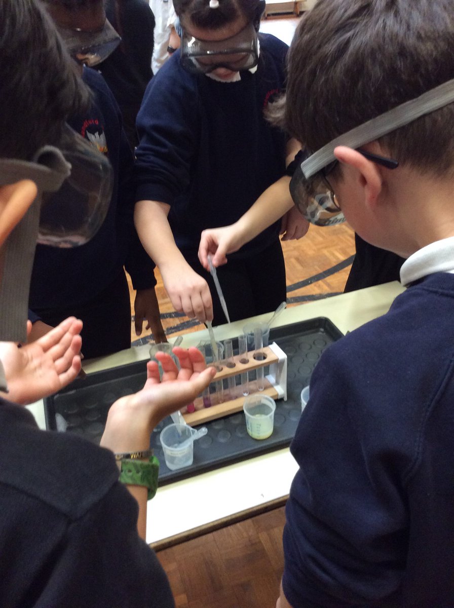 HandfordHallPS's tweet image. Year 5 Science adventure this week: