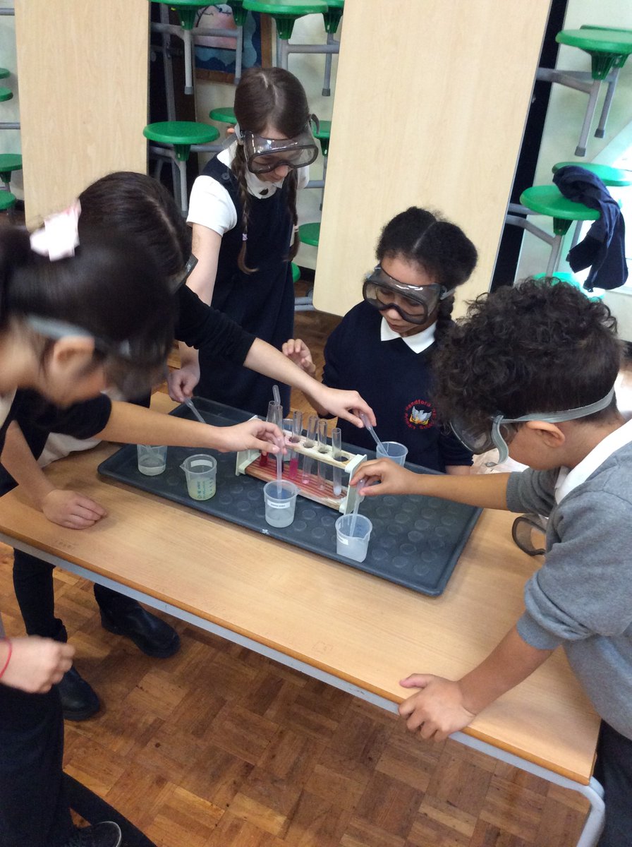Year 5 Science adventure this week: