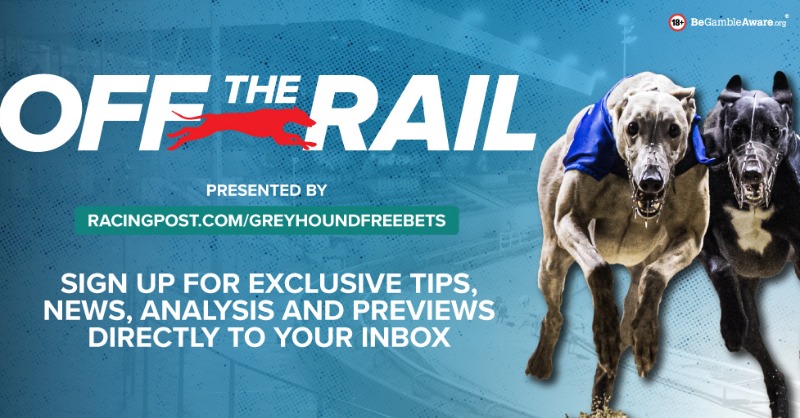 Rp greyhoundbet store