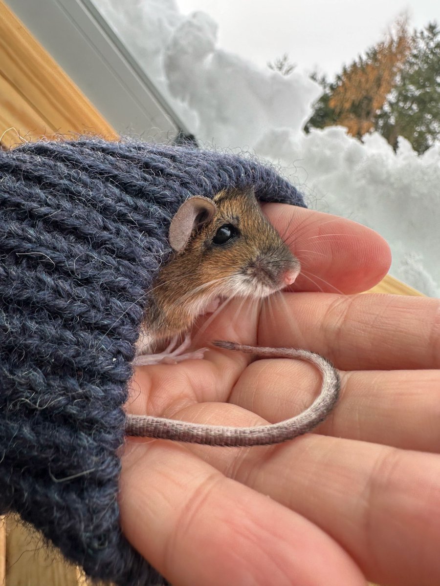 Бруня очень недовольна тем, что этот лишний день выдают именно в феврале. Если честно, я с ней согласна, лучше бы сделали, например, 32-ое мая. Весна, давай уже скорее, мы заждались!