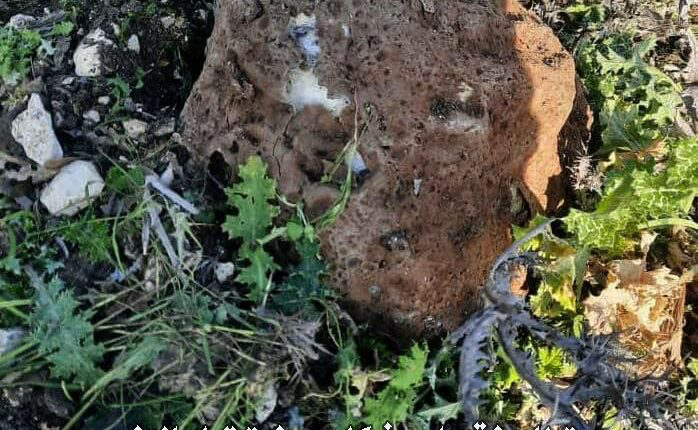 TracTerrorism's tweet photo. Engineering Unit of #SAA Neutralizes a Suspected #IslamicState (#IS) #IED Disguised as a Rock in #Sayda, #Dara’a Governorate, #Syria
Read more: https://t.co/T6j6fL0clA https://t.co/qtujL05lvF