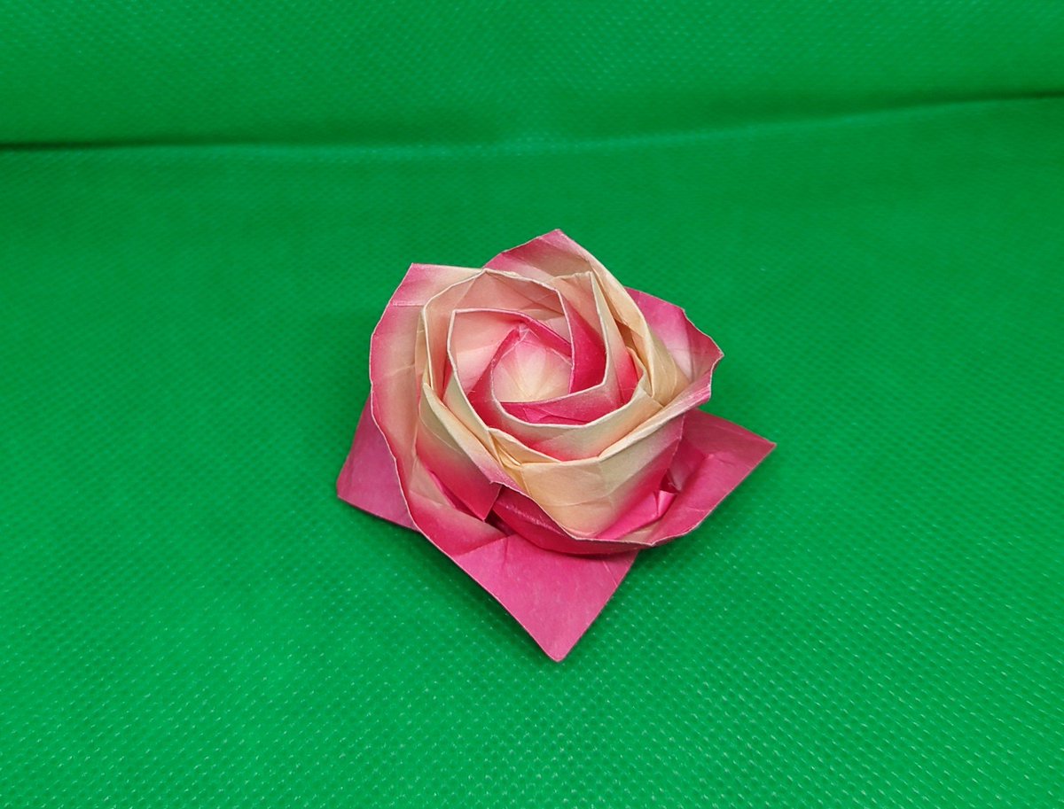 origamidaiski's tweet photo. 作品　川崎敏和　氏
　　　「薔薇」
京成バラ園で、ローズ折り紙を購入したので久しぶりに折りました。 https://t.co/FODC1PJcfs