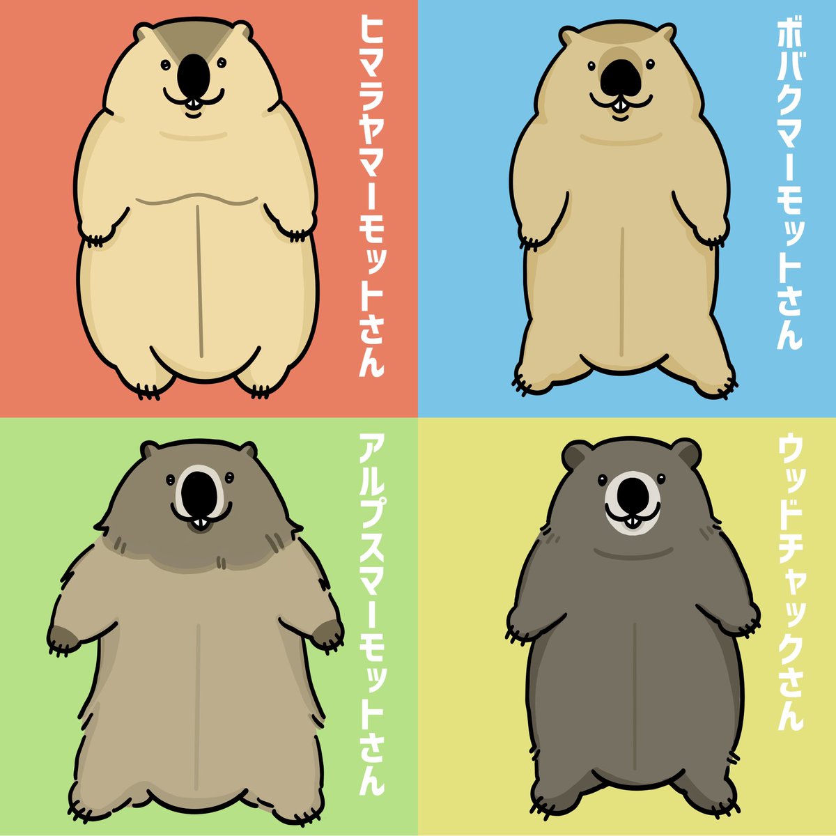 いろんなマーモット種が大集合
みなさんはどのマーモットがすきですか？
#マーモット #marmot #動物イラスト #ウッドチャック #woodchuck