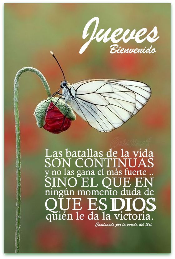 Buenos días ☕🌞🇻🇪