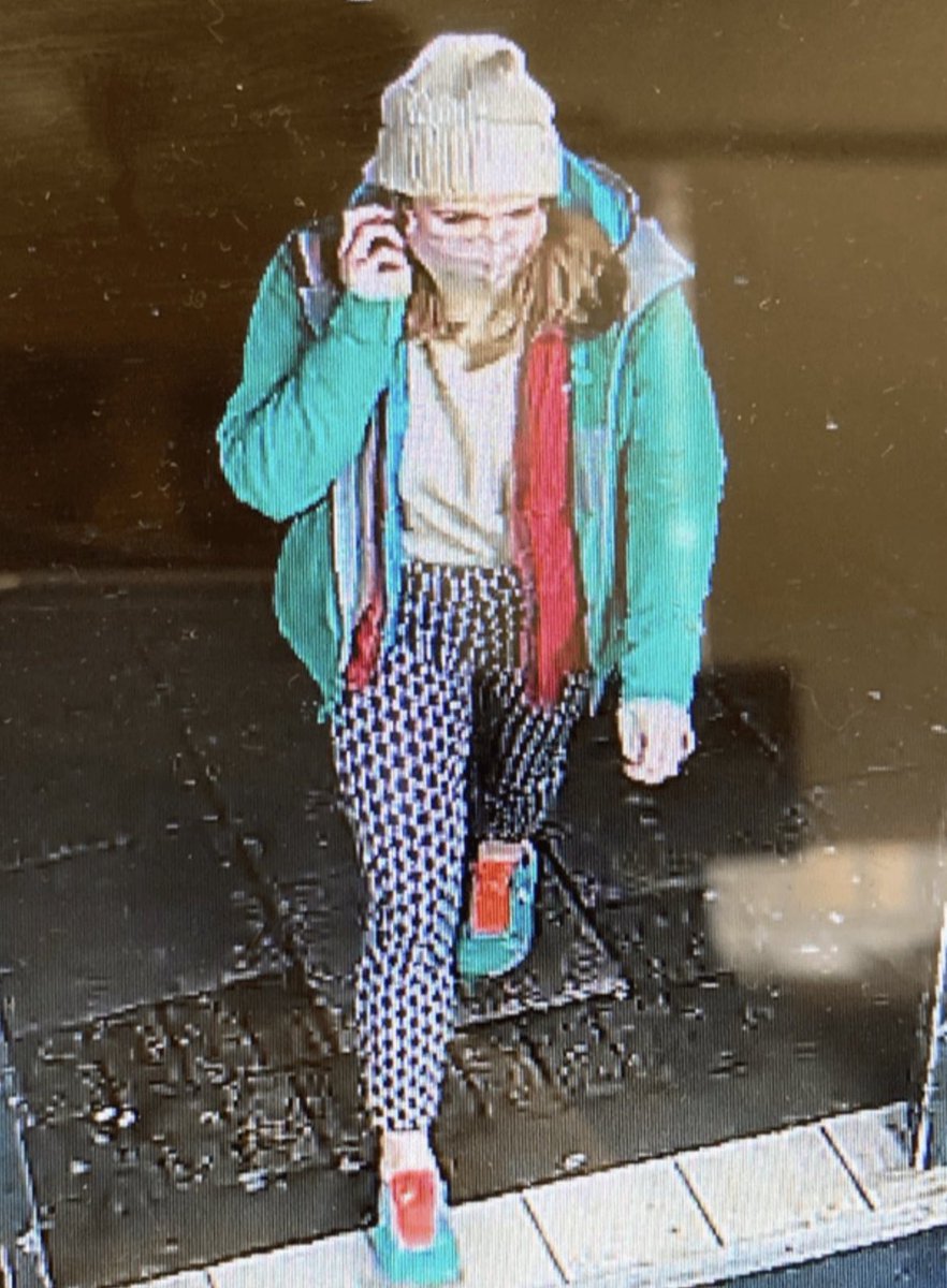 CCTV image of Sarah Everard on the day she was kidnapped and murdered by a British police officer called Wayne Couzens. 

On the evening of 3 March 2021, 33-year-old Sarah Everard was kidnapped in South London, England, as she was walking home to the Brixton Hill area from a