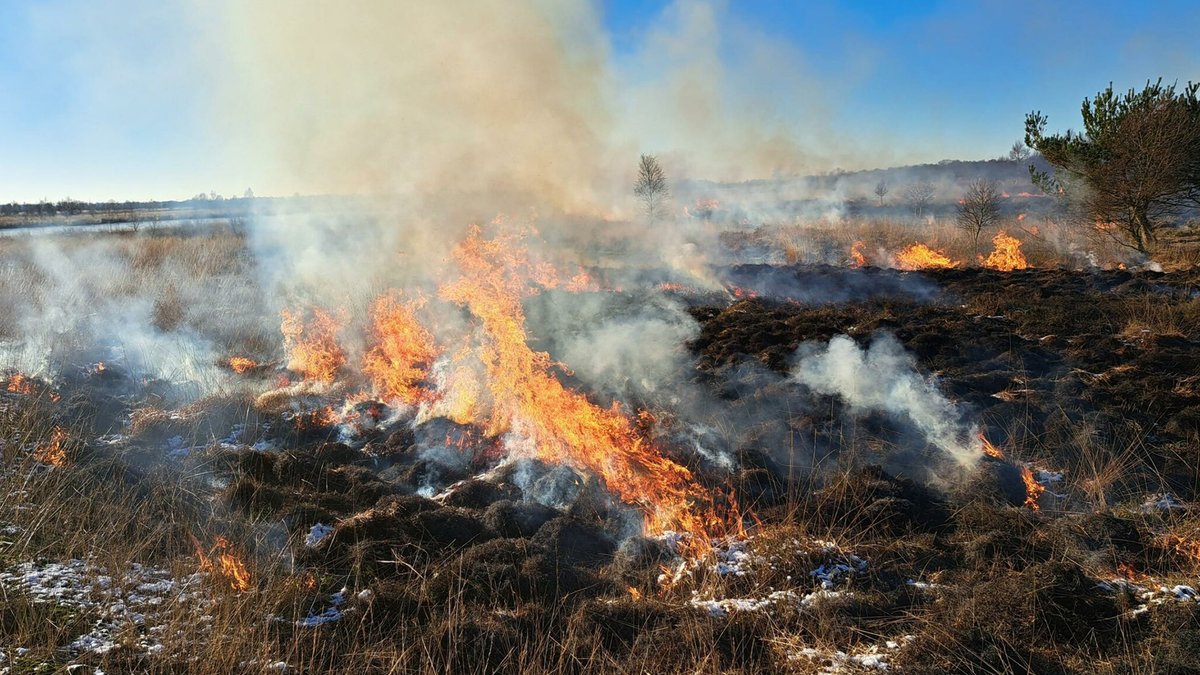 Begin januari hadden we te maken met een koude, maar droge oostenwind. Op 10 januari 2024 was het daarom het perfecte moment om een ‘fikkie te stoken’ in het Bargerveen. Waarom en hoe lees je in dit artikel: bit.ly/3ThRtJF Foto: Piet Ursem