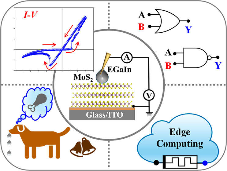 In this article, researchers demonstrated a versatile all-in-one memristor device using a solution-processed thin-film of 2D vdW material for green data centre and brain-inspired computing in the future.
Read it here 🔗 go.acs.org/8fc