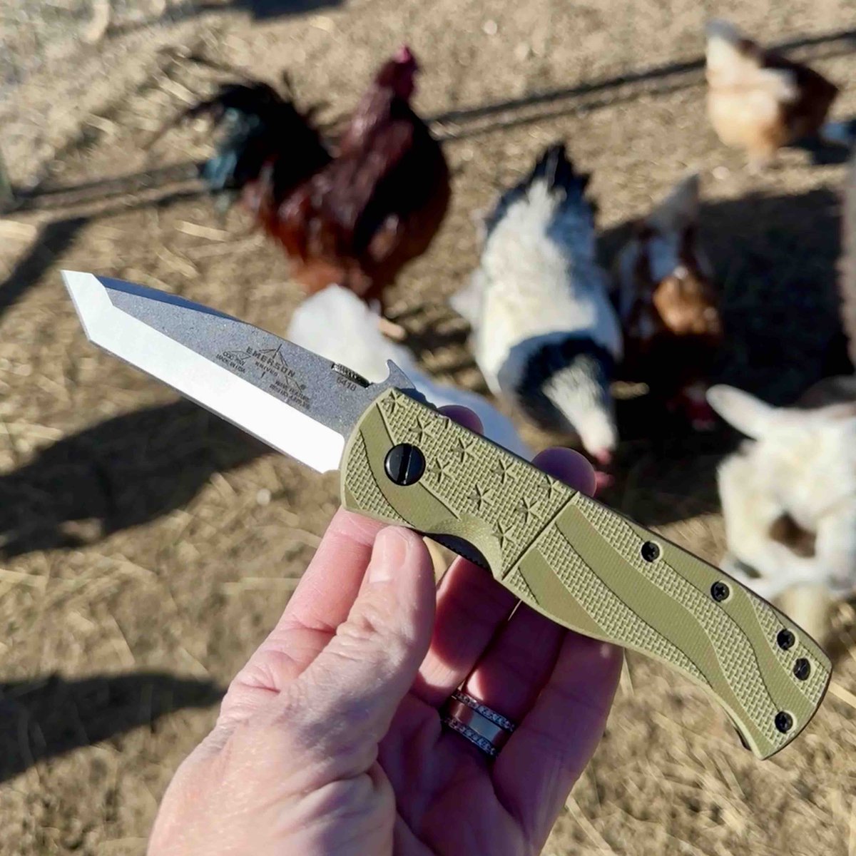 Where are my chicken rancher people at? 

#cqc7 #emersonknives #madeintheusa