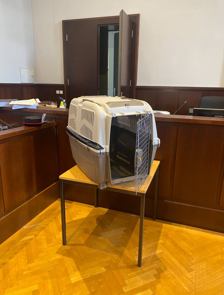 Im #Hundebox Prozess in Krems ergeht heute ein Urteil. Teils schwer zu ertragen. Für Gerichtspsychiater Peter Hofmann ist es ein Jahrhundertfall.

Und ein Fall, in dem durch Aussagen auch massives Behördenversagen deutlich wurde. 

Ein umfassender Beitrag dazu heute in der #zib2