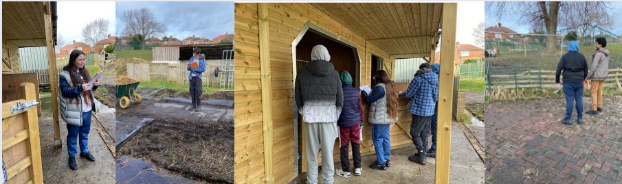 SolutionsNCL's tweet image. This week we have been collecting data on the farm and using this to draw frequency tables, bar charts and line graphs. The learners enjoyed a break from the classroom, being outdoors and putting maths into real word situations.