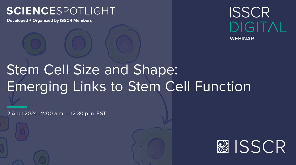 Explore the connection between stem cell morphology and function in the member-organized #ISSCRDigital Webinar: Stem Cell Size and Shape: Emerging Links to Stem Cell Function on 2 April 2024 👉 bit.ly/48oO80D