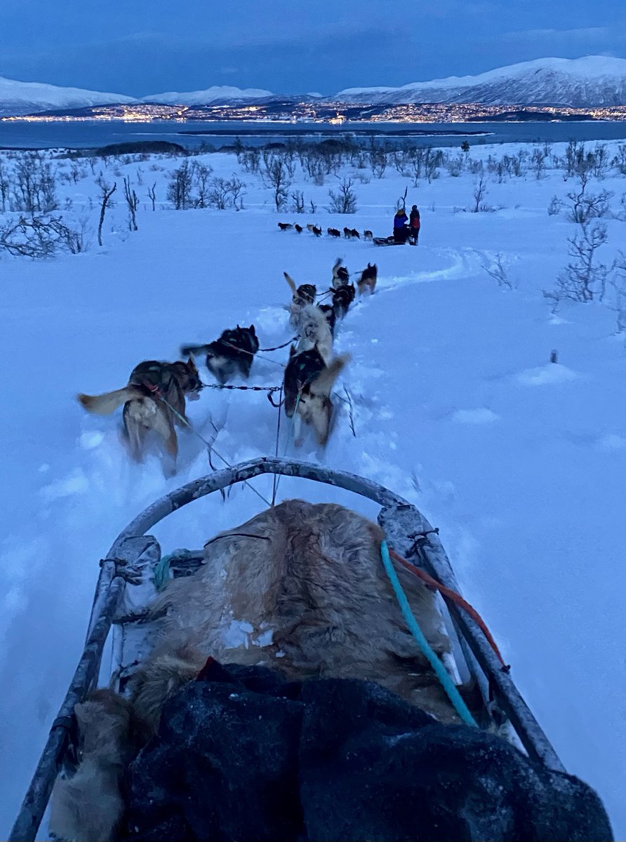 Emma Field a.k.a. Fast-Field tweet media