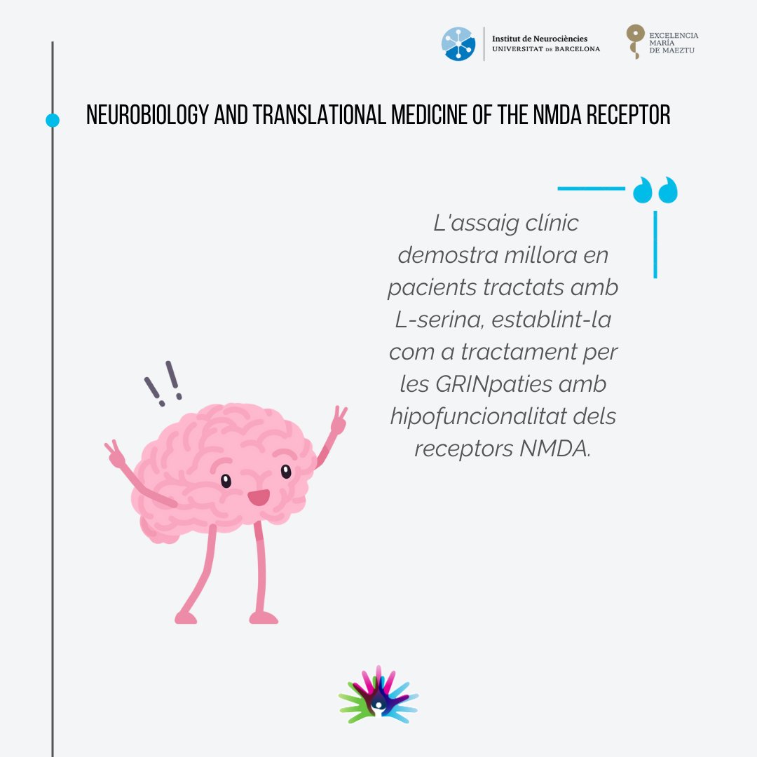 Institut de Neurociències de la UB tweet media