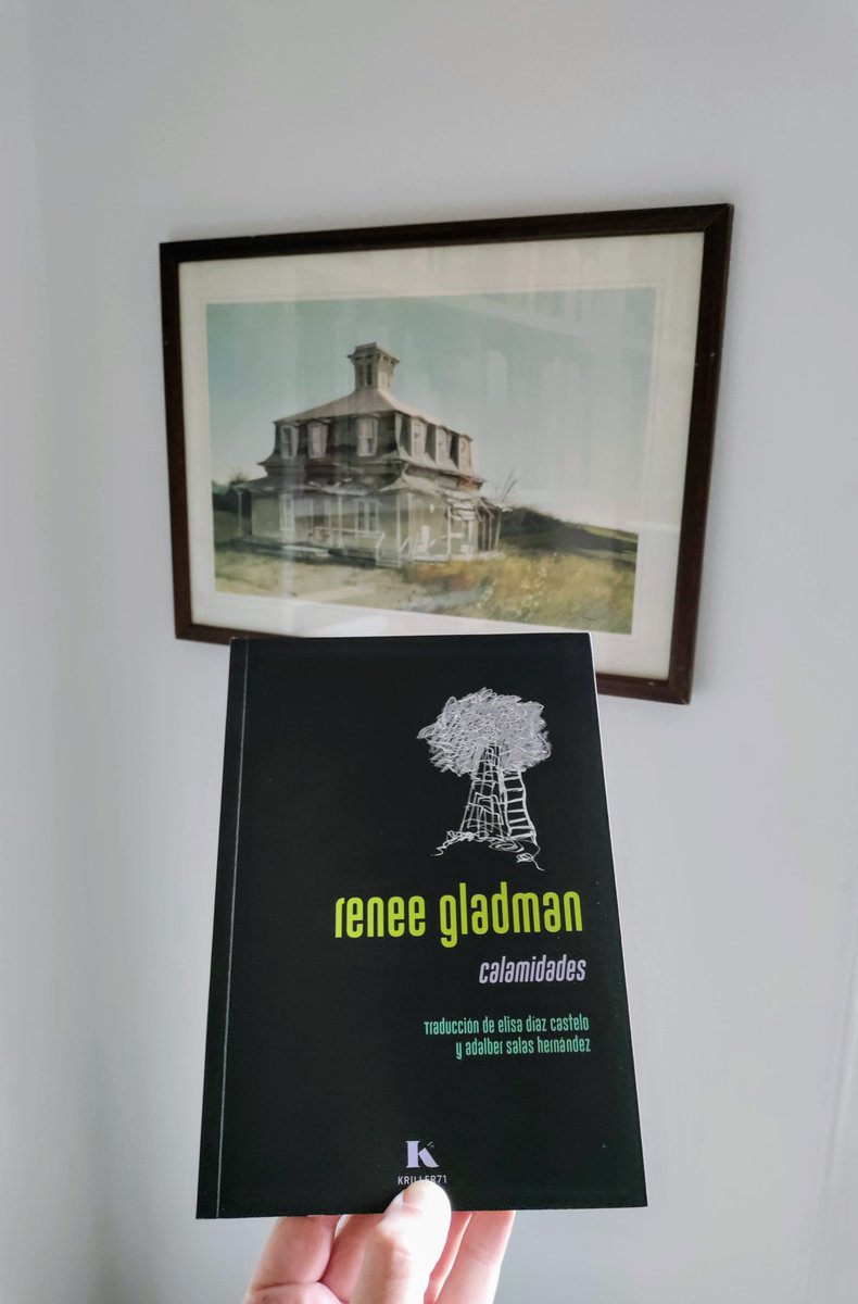 CALAMIDADES, de Renee Gladman, #traducidopor Elisa Díaz Castelo y Adalber Salas Hernández pissandpoopism.blogspot.com/2024/02/calami…