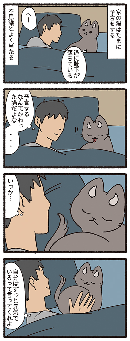 ねこようかい くだん
#ねこもんすたー #ねこようかい 