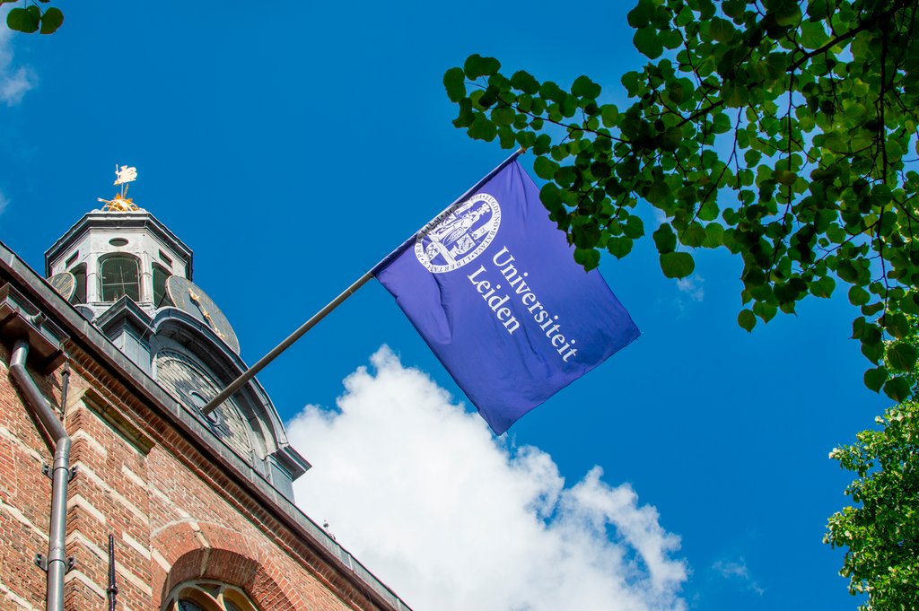 Three researchers from the #FacultyOfHumanities of #LeidenUniversity will receive a prestigious Vici grant from the Dutch Research Council (@NWONieuws). Read more about the research of Jenneke van der Wal, Petra Sijpesteijn en Victoria Nyst. bit.ly/49WJCI5