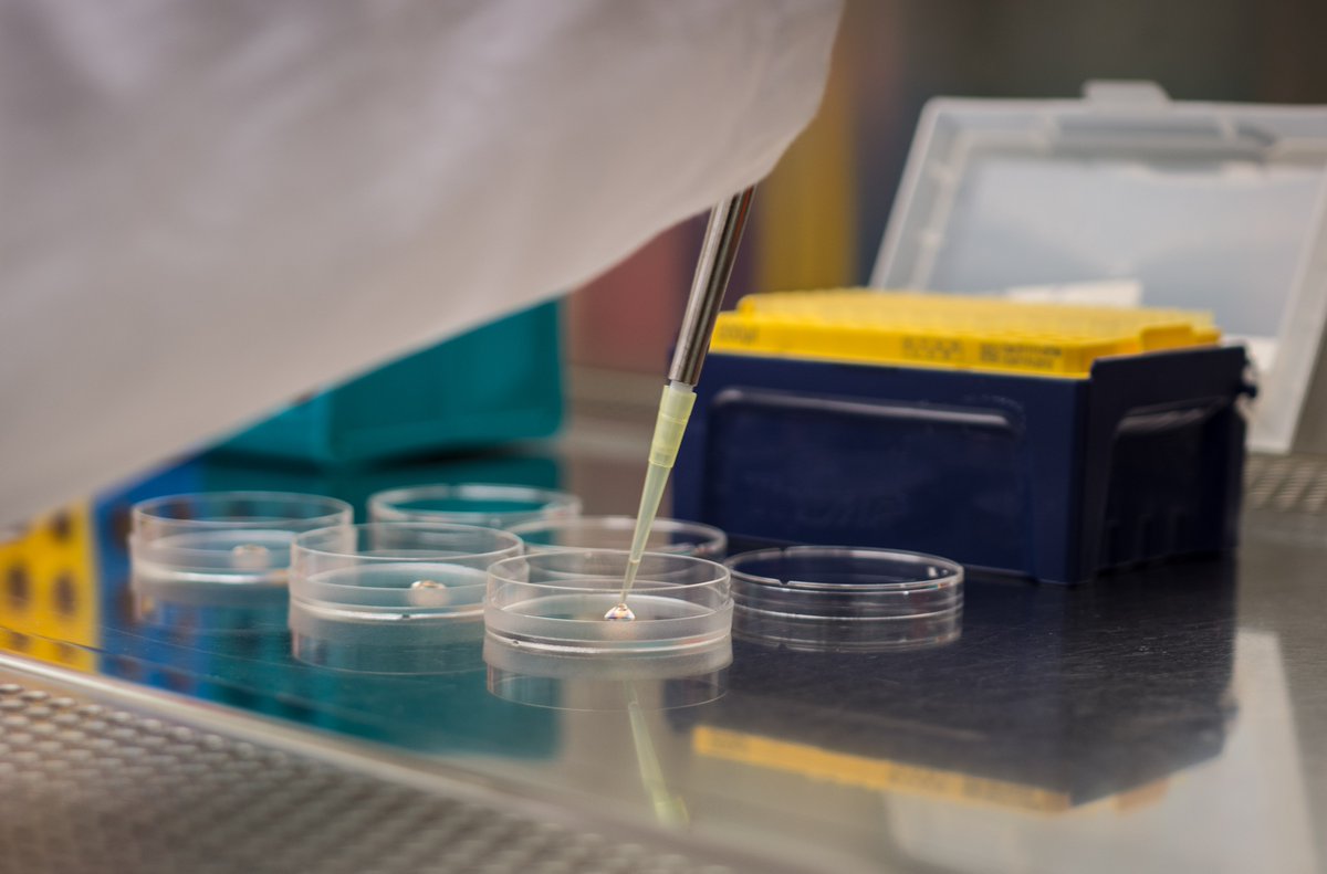 uzh__Virology's tweet photo. #Working in the lab ......😍🧪👩🔬👨🔬..
.
.
#research #lab #laboratory #virology #uzh #university #instagram #intagood #workingday #science #pipette https://t.co/3SOT8sUyMo