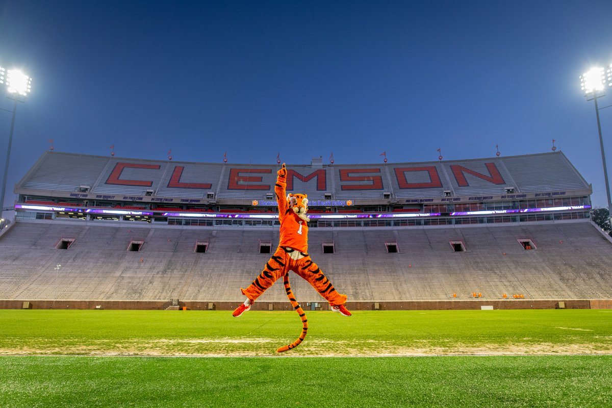 You can only RT this on #LeapDay. Go Tigers! 🐅