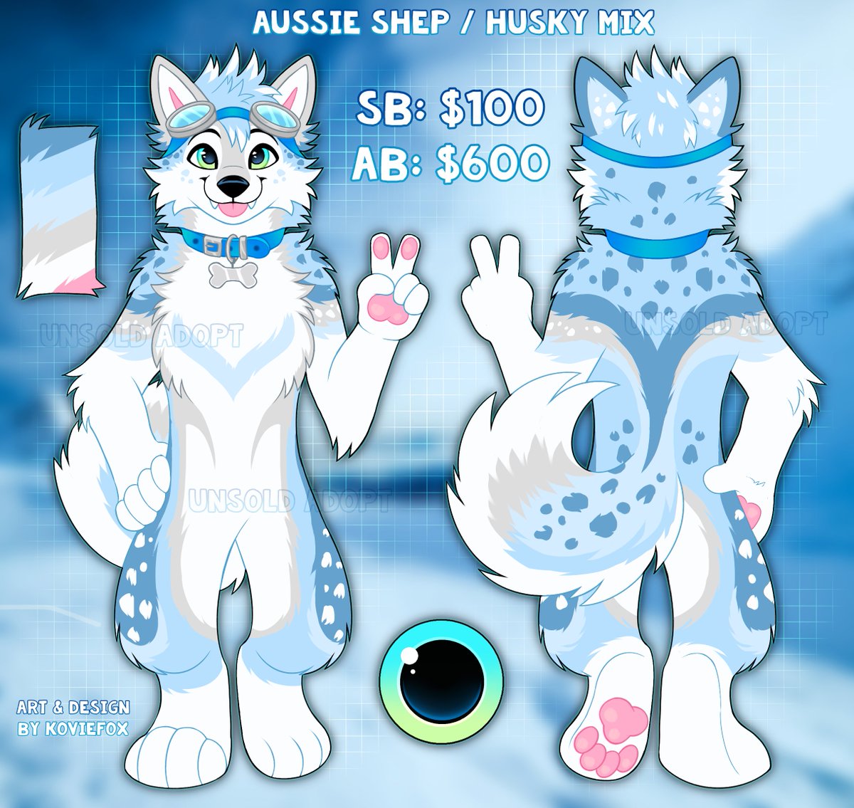 ❄️ Aussie Shep & Husky Mix ❄️ This little snow-loving pup is looking for a new home! • SB: 💲100 • AB: 💲 600 • Reply to the bid chain below or DM me to offer privately! • Shares are highly appreciated 💙