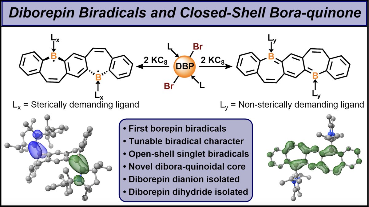 Our manuscript on the first borepin biradicals is now published in @J_A_C_S! @kkhollister19 presents a strategy to modulate biradical character under steric control, planarization of the pentacyclic π-system gives the diboraquinodal core! pubs.acs.org/doi/10.1021/ja… #maingroup #boron