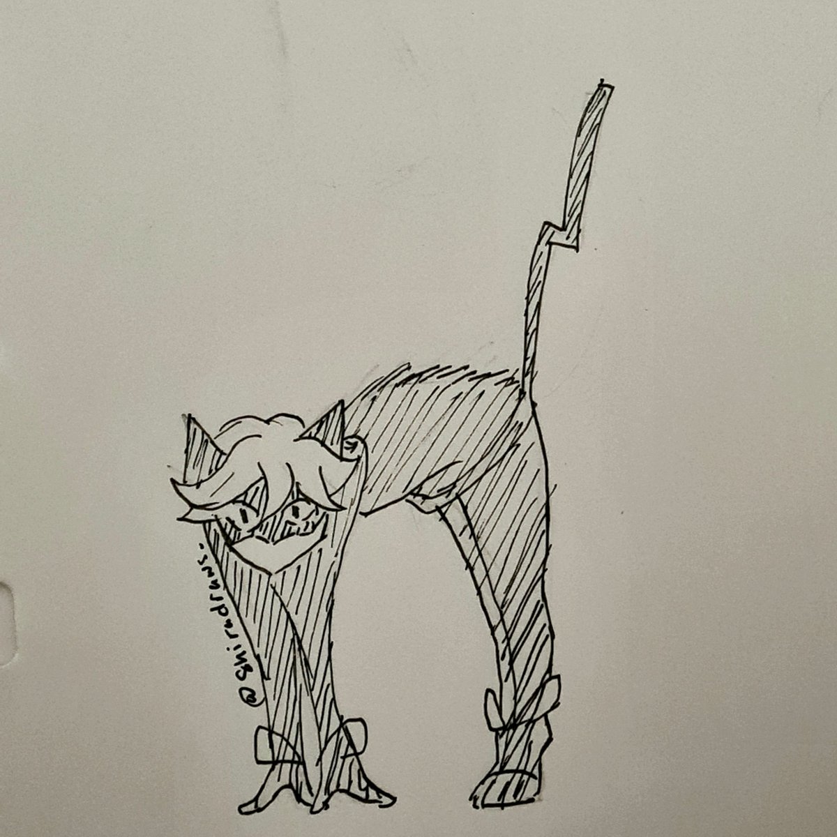 Shiradraws_'s tweet photo. #catnoir embracing the cat in him  #MiraculousLadybug https://t.co/0haf85f7cq