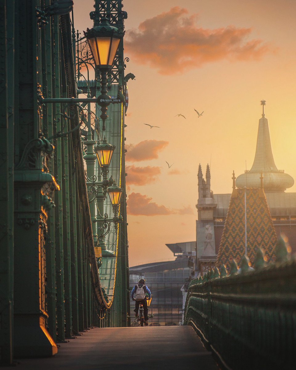 Golden morning light on the Liberty bridge, Budapest/Hungary