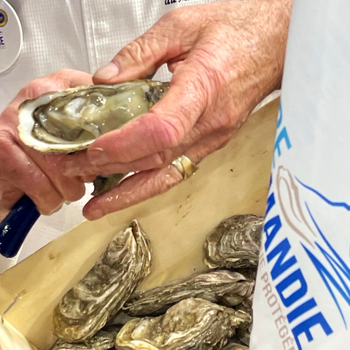 Seine-Maritime tweet media