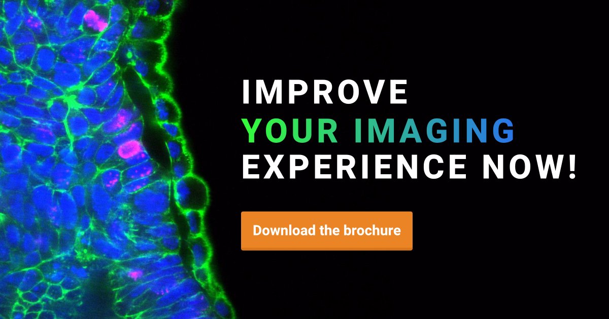 Do you want one document with all answers to improve your imaging experience? Get access to our brochure! Learn more about our cleverly designed solutions, and how they can bring your research to the next level. Download our brochure and start reading! confocal.nl/brochure/?utm_…
