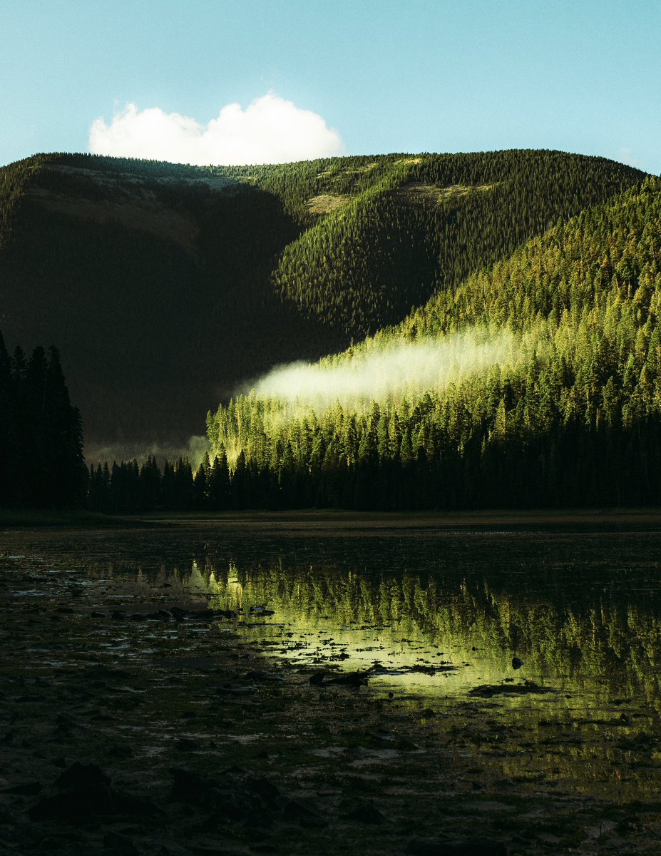 SKemp_97's tweet photo. Film vs. Digital - Crystal Lake, Montana 
.
.
.
#shotonfilm #filmdeveloping #darkroom #homedeveloped #filmscan #35mm #35mmfilm #filmphotography #filmportraits #photoshoot #Kodak #Portra #nature #travel #landscape #sunrise https://t.co/gqMNNXGqJ2