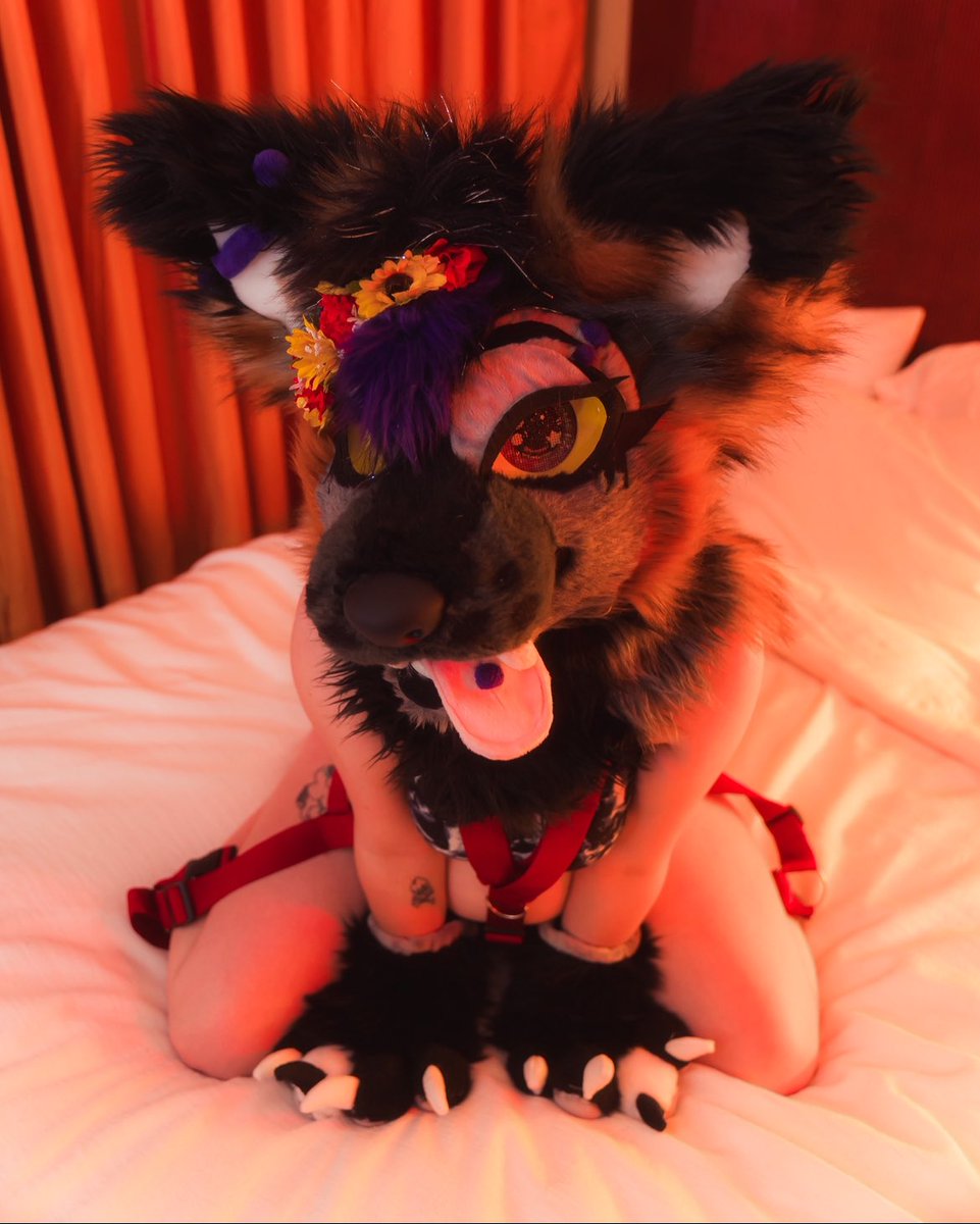specswantspets's tweet image. We’ve almost made it to Friday! Any weekend plans?? 

Oh me? I think I’m just gonna look cute here 🥰

📸: @ThatSinfulFox