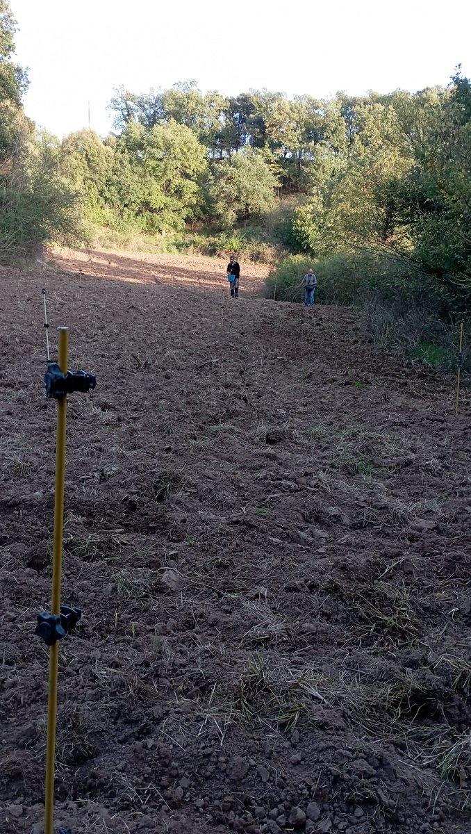 FormatgesLluca tweet media