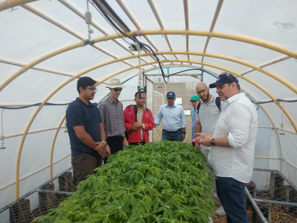 Discussing #cassava #disease disease 🦠 & #rapidmultiplication of disease-free & disease resistant varieties with @WorldVision 🇱🇦. A nice opportunity to link @ACIARAustralia research to other 🇦🇺 funded activities in Laos. @AusAmbLaos @dfat @ACIARCEO @BiovIntCIAT_eng @CGIAR